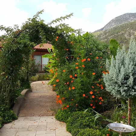 Tatil parkı Rüya Park 3*