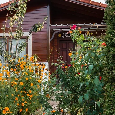 Rueya Park Çıralı