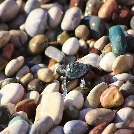 Rueya Park Πάρκο διακοπών