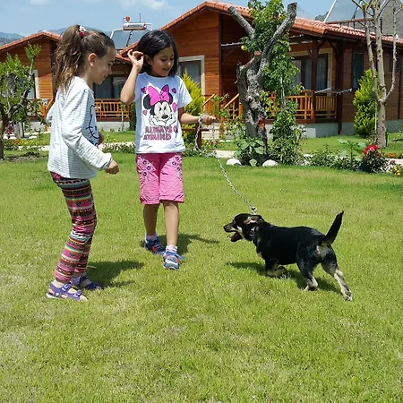 Rueya Park 3* Çıralı