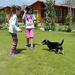 Rueya Park 3* Çıralı
